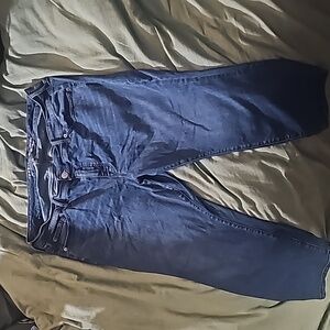 Torrid perfect skinny ankle premium stretch. 20S (for short inseem)